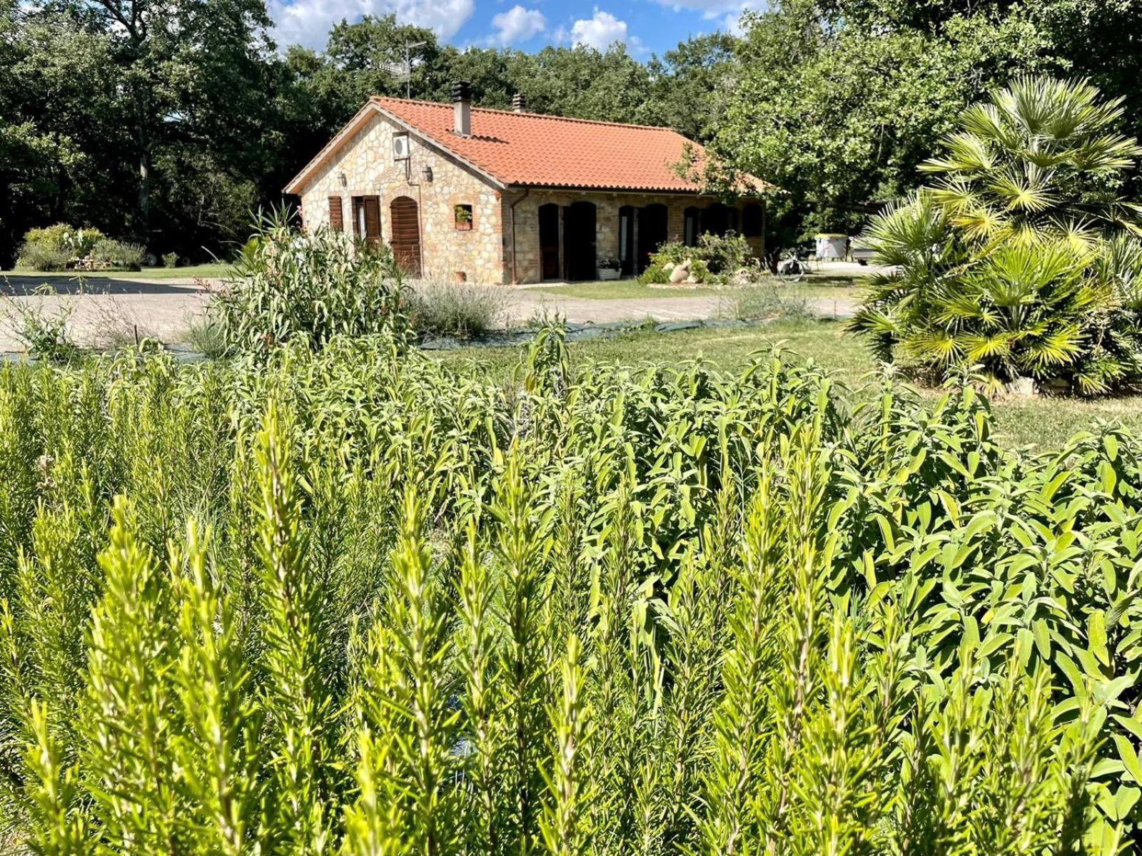 Antica Riserva Apartment Castiglione del Lago Exterior photo